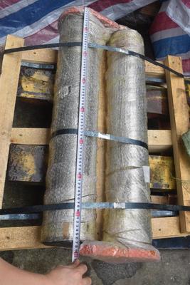 Excavator Spare Part BUCKET PIN 8104947 8100950 for HITACHI ZAX870 Engine